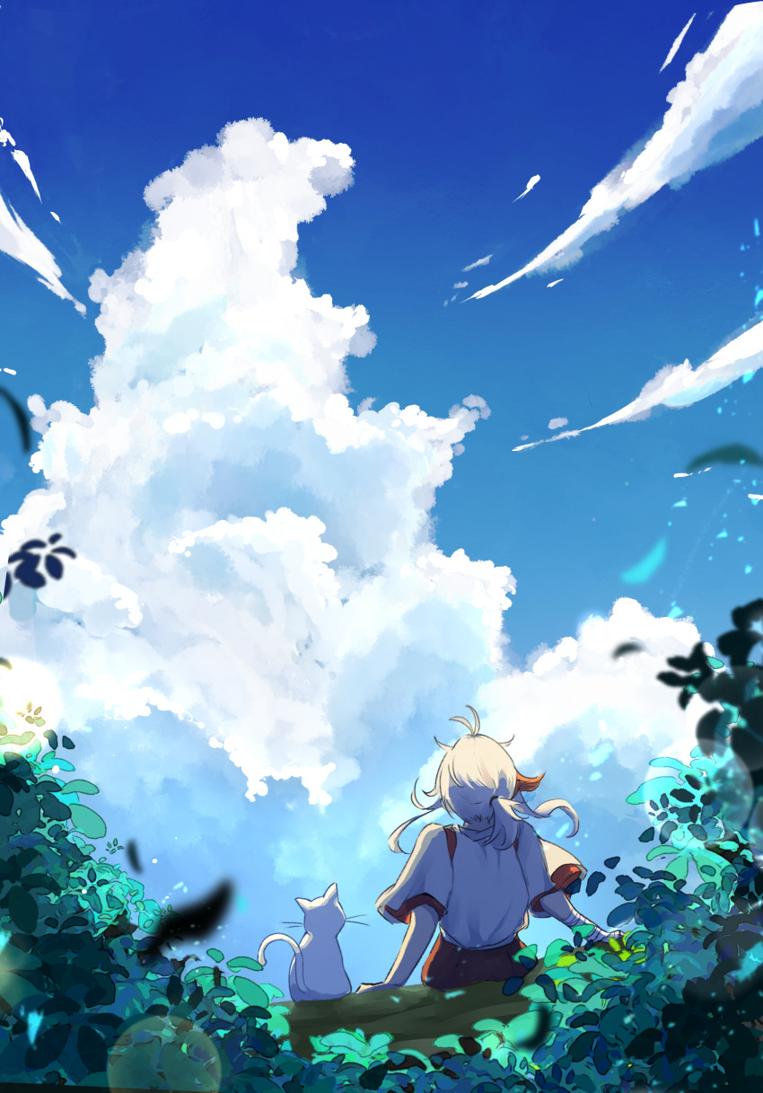 1boy, antenna_hair, arm_support, bandaged_arm, bandages, blue_sky, branch, cat, cloud, cloudy_sky, commentary_request, day, facing_away, floating_hair, genshin_impact, highres, japanese_clothes, kaedehara_kazuha, kimono, lens_flare, low_ponytail, male_focus, medium_hair, multicolored_hair, outdoors, ponytail, red_hair, scenery, short_sleeves, sidelocks, sitting, sky, streaked_hair, tamadon_(tamadonoekaki), tree, white_cat, white_hair, white_kimono