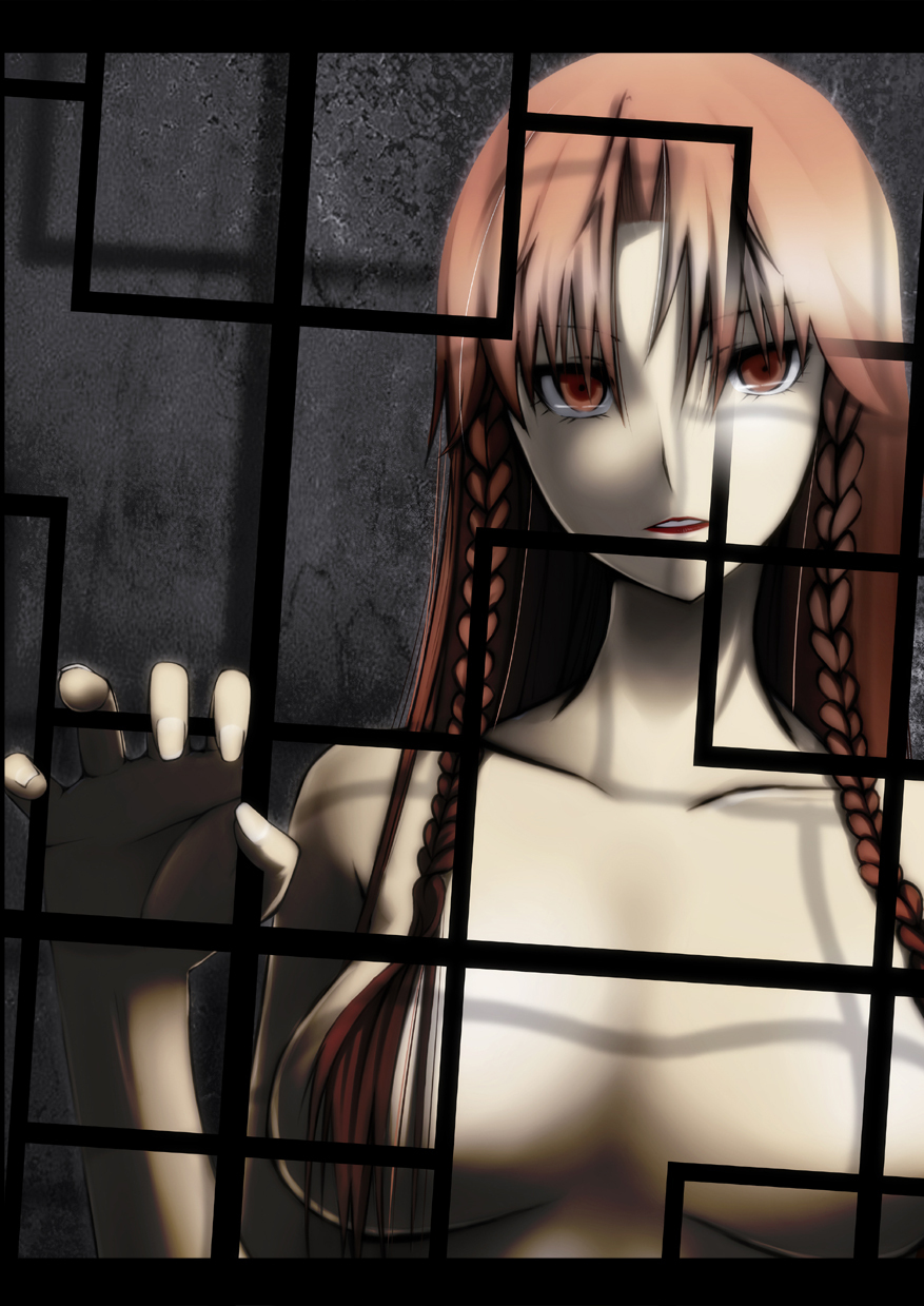 1girl, bad_id, bad_pixiv_id, braid, breasts, chulain, female_focus, highres