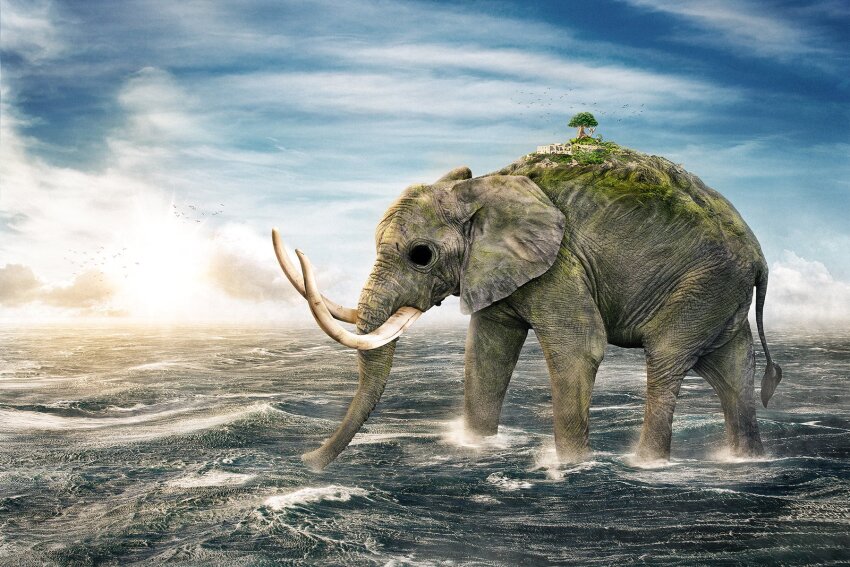 animal, cloud, cloudy_sky, day, elephant, empty_eyes, from_side, full_body, highres, island, male_focus, ocean, on_water, one_piece, outdoors, realistic, sky, solo, standing, sunset, thanawat_thepphongsri, tree, tusks, walking, water, zunesha
