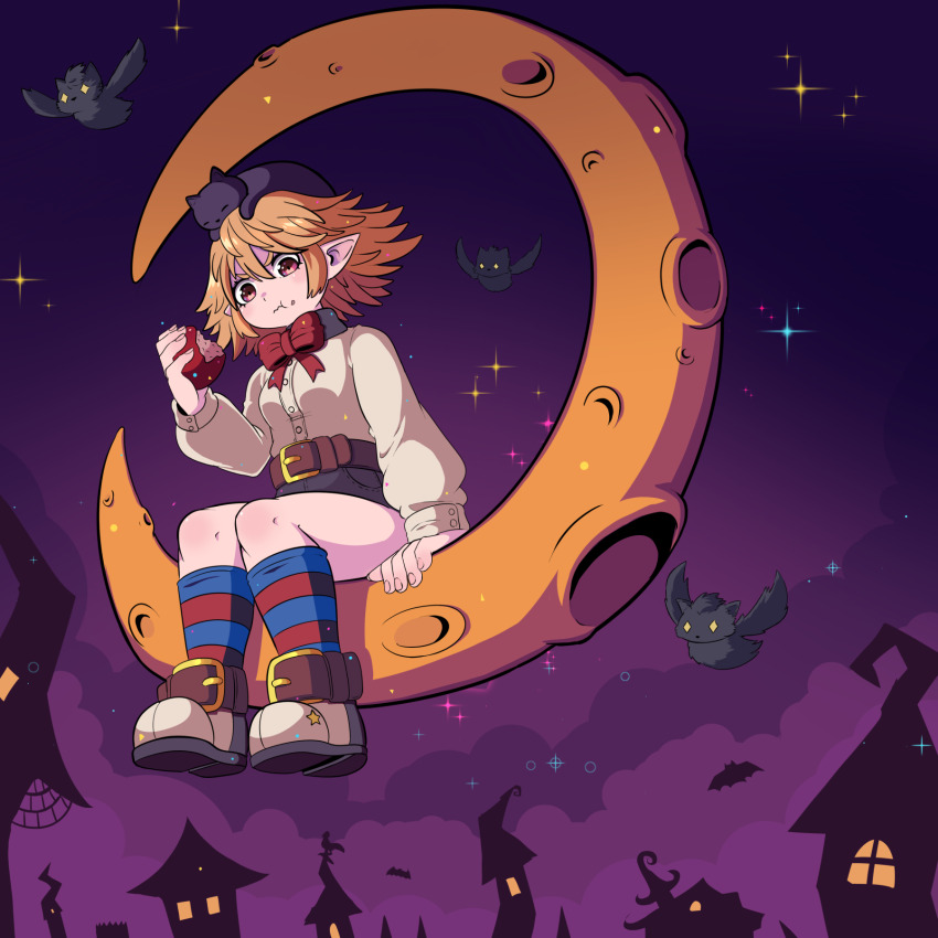 1girl, :t, animal, animal_on_head, bat_(animal), belt, black_cat, blonde_hair