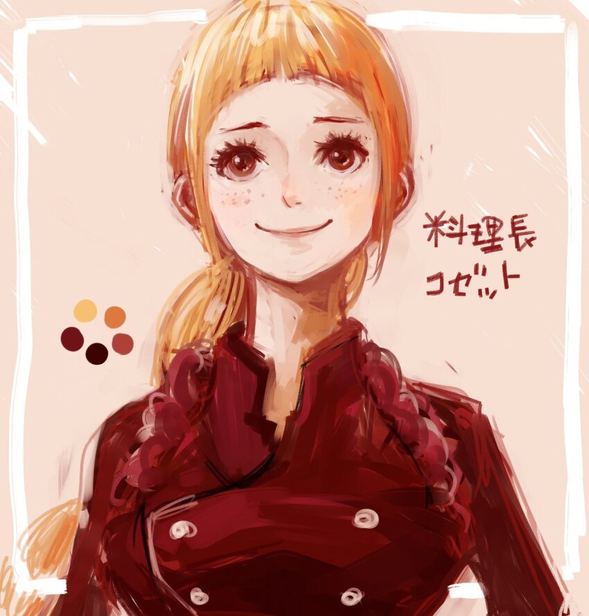 1girl, braid, brown_eyes, brown_hair, chef, closed_mouth, cosette_(one_piece), facial_mark