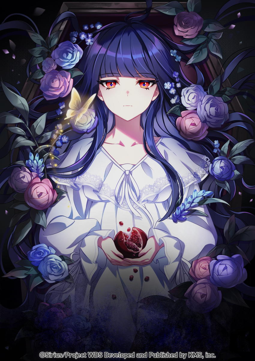 1girl, blue_flower, blue_rose, blunt_bangs, bug, butterfly, dress, flower