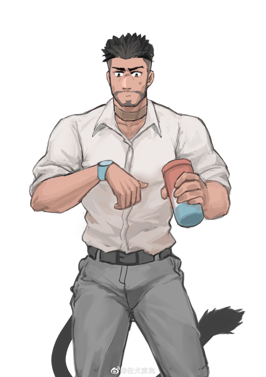 1boy, absurdres, bara, beard, black_hair, bulge, cat_tail, facial_hair