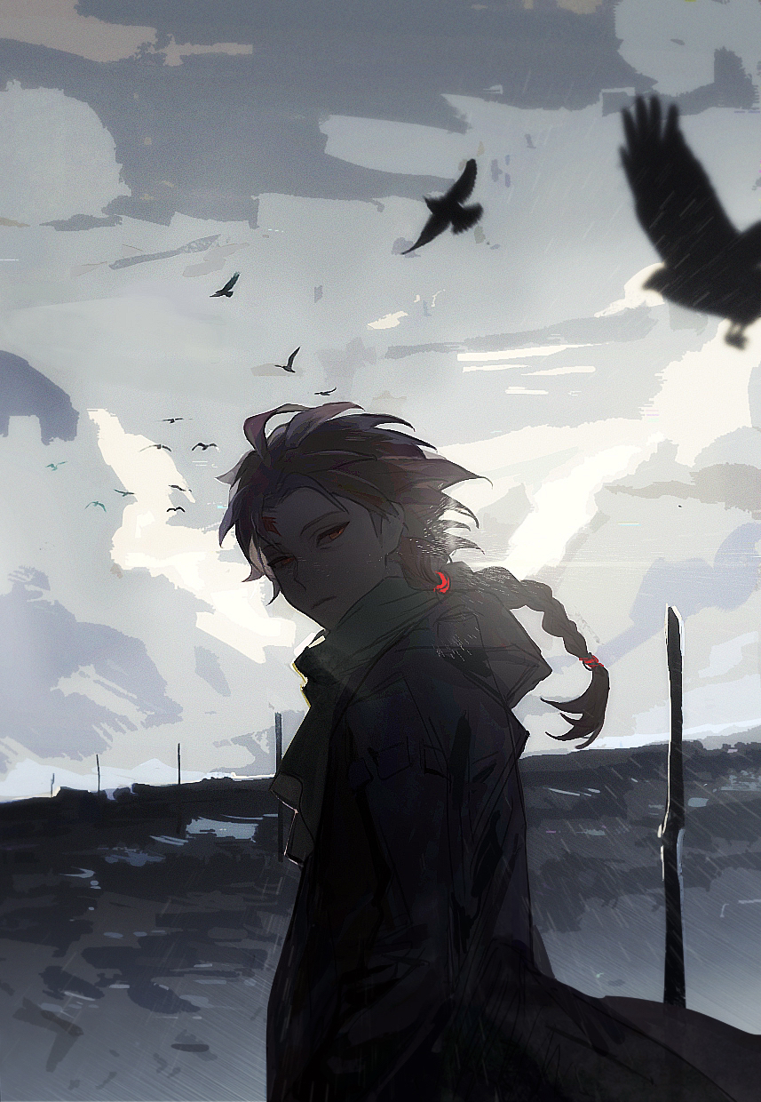1boy, bird, black_bird, black_coat, braid, brown_hair, closed_mouth, coat