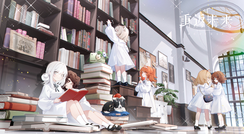 6+girls, absurdres, aged_down, ahoge, apple, apple_(reverse:1999), arm_up, black_footwear, black_ribbon, blonde_hair, book, book_stack, bookshelf, border_collie, brown_hair, collared_dress, copyright_name, curly_hair, drawing_(object), dress, food, fruit, full_body, goggles, goggles_around_neck, grey_eyes, hair_bun, hair_ornament, hairband, hairclip, highres, holding, holding_book, indoors, logo, long_sleeves, looking_at_another, looking_at_viewer, mary_janes, matilda_bouanich, medium_hair, melania_(reverse:1999), ms._radio, multiple_girls, neck_ribbon, on_ground, one_side_up, open_book, orange_eyes, orange_hair, pickles_(reverse:1999), picture_frame, puffy_long_sleeves, puffy_sleeves, radio, reverse:1999, ribbon, schneider_(reverse:1999), shoes, short_dress, short_hair, single_side_bun, sitting, socks, sonetto_(reverse:1999), sparkle, stairs, standing, two_side_up, vertin_(reverse:1999), white_dress, white_hair, white_hairband, white_socks, window, zaocan_nai_cha