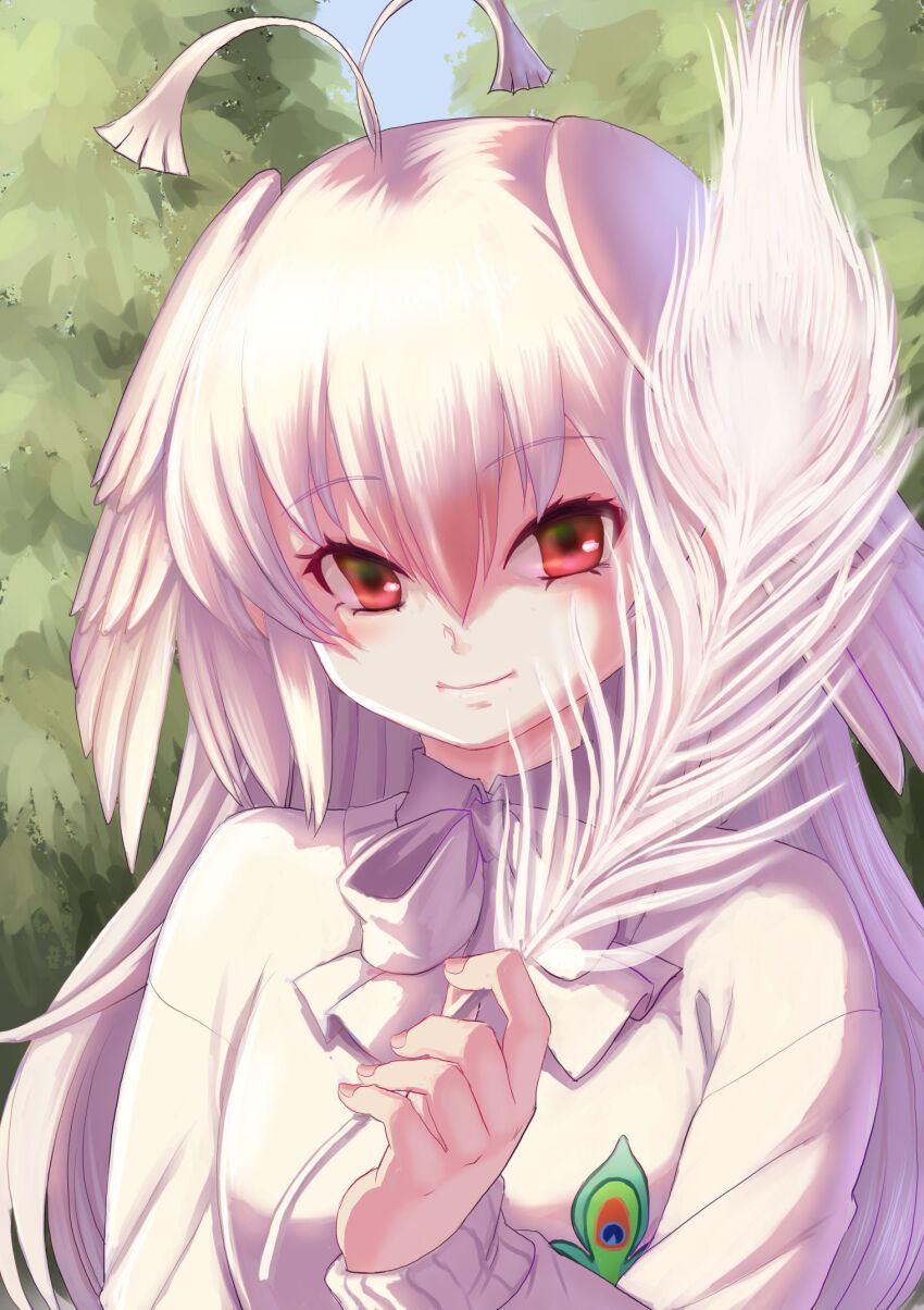 1girl, bird_girl, bird_wings, bow, bowtie, feathers, forest, highres