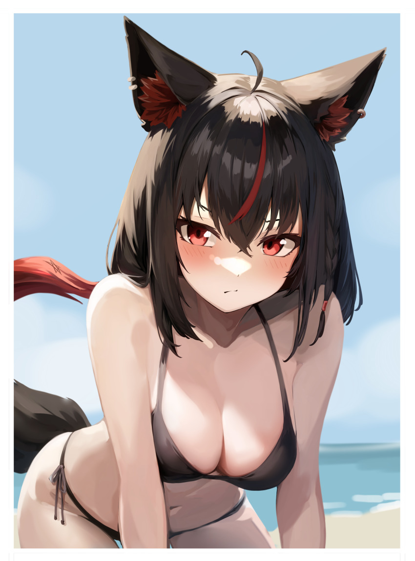 1girl, absurdres, ahoge, animal_ear_fluff, animal_ears, beach, bikini, black_bikini