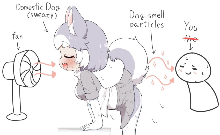 1girl, animal_ear_fluff, animal_ears, ass, blush, breasts, closed_eyes, dog_(mixed_breed)_(kemono_friends), dog_ears, dog_girl, dog_tail, elbow_gloves, electric_fan, english_text, girlsmell_particles_(meme), gloves, grey_hair, highres, kemono_friends, medium_breasts, meme, multicolored_hair, nanachii_(nanatidayo), open_mouth, short_hair, short_sleeves, skirt, smile, tail, tail_wagging, two-tone_hair, white_hair