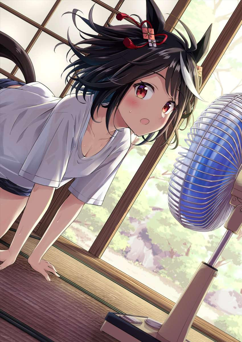 1girl, animal_ears, black_hair, blush, breasts, cleavage, collarbone, electric_fan, highres, horse_ears, horse_girl, horse_tail, hot, indoors, kitasan_black_(umamusume), murasaki_himuro, open_mouth, red_eyes, shirt, short_hair, short_sleeves, small_breasts, solo, sweat, tail, tatami, umamusume, white_hair, white_shirt