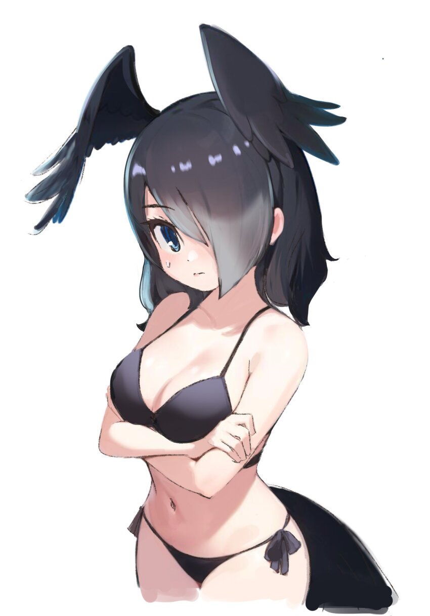1girl, alternate_costume, bare_arms, bare_shoulders, bikini, bird_girl, bird_tail, bird_wings, black_bikini, black_hair, blue_eyes, blush, collarbone, cowboy_shot, crossed_arms, embarrassed, grey_hair, hair_over_one_eye, head_wings, highres, ieinu_account, jungle_crow_(kemono_friends), kemono_friends, midriff, multicolored_hair, navel, short_hair, solo, swimsuit, tail, two-tone_hair, wings