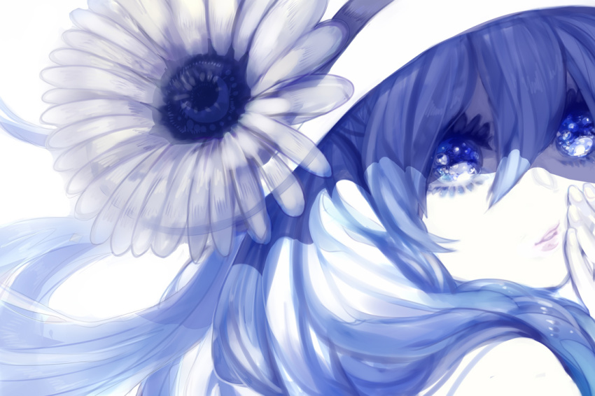 1girl, bad_id, bad_pixiv_id, blue_theme, female_focus, flower, hat, hatsune_miku