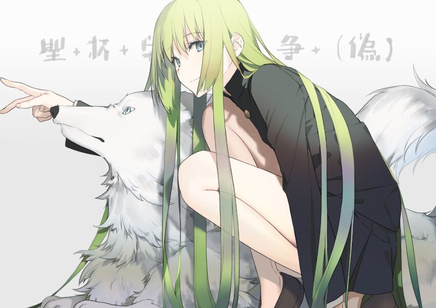 1other, absurdly_long_hair, akinashi_yuu, androgynous, aqua_eyes, black_jacket, enkidu_(fate), fate/strange_fake, fate_(series), green_hair, jacket, long_hair, long_sleeves, no_socks, other_focus, shoes, squatting, v, very_long_hair, wolf, wolf_(fate)