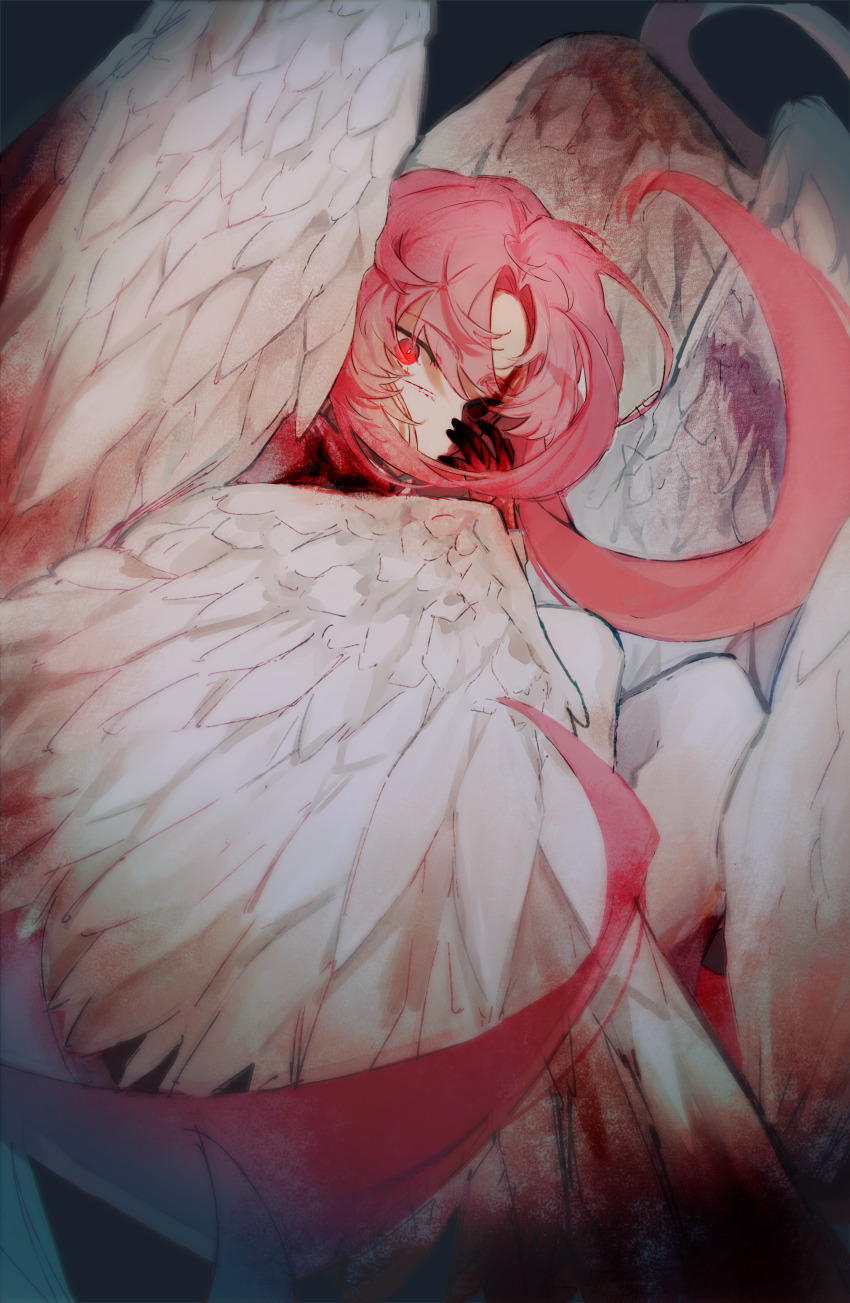 1boy, absurdres, blood, blood_on_face, blood_on_hands, bloody_wings, bright_pupils, chinese_commentary, commentary_request, feathered_wings, hatsutori_hajime, highres, long_hair, long_sleeves, male_focus, multiple_wings, pants, pink_hair, red_eyes, saibou_shinkyoku, shirt, solo, songlajihuijia, white_pants, white_pupils, white_shirt, white_wings, wings