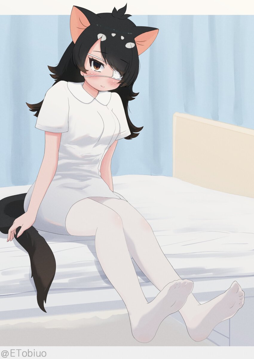 absurdres, alternate_costume, australian_devil_(kemono_friends), black_hair, blush, brown_eyes, collared_dress, dress, etobiuo, eyepatch, feet, hair_over_one_eye, highres, kemono_friends, long_hair, looking_at_viewer, medical_eyepatch, multicolored_hair, no_shoes, nurse, on_bed, pantyhose, short_sleeves, sitting, soles, toes, two-tone_hair, white_dress, white_hair, white_pantyhose