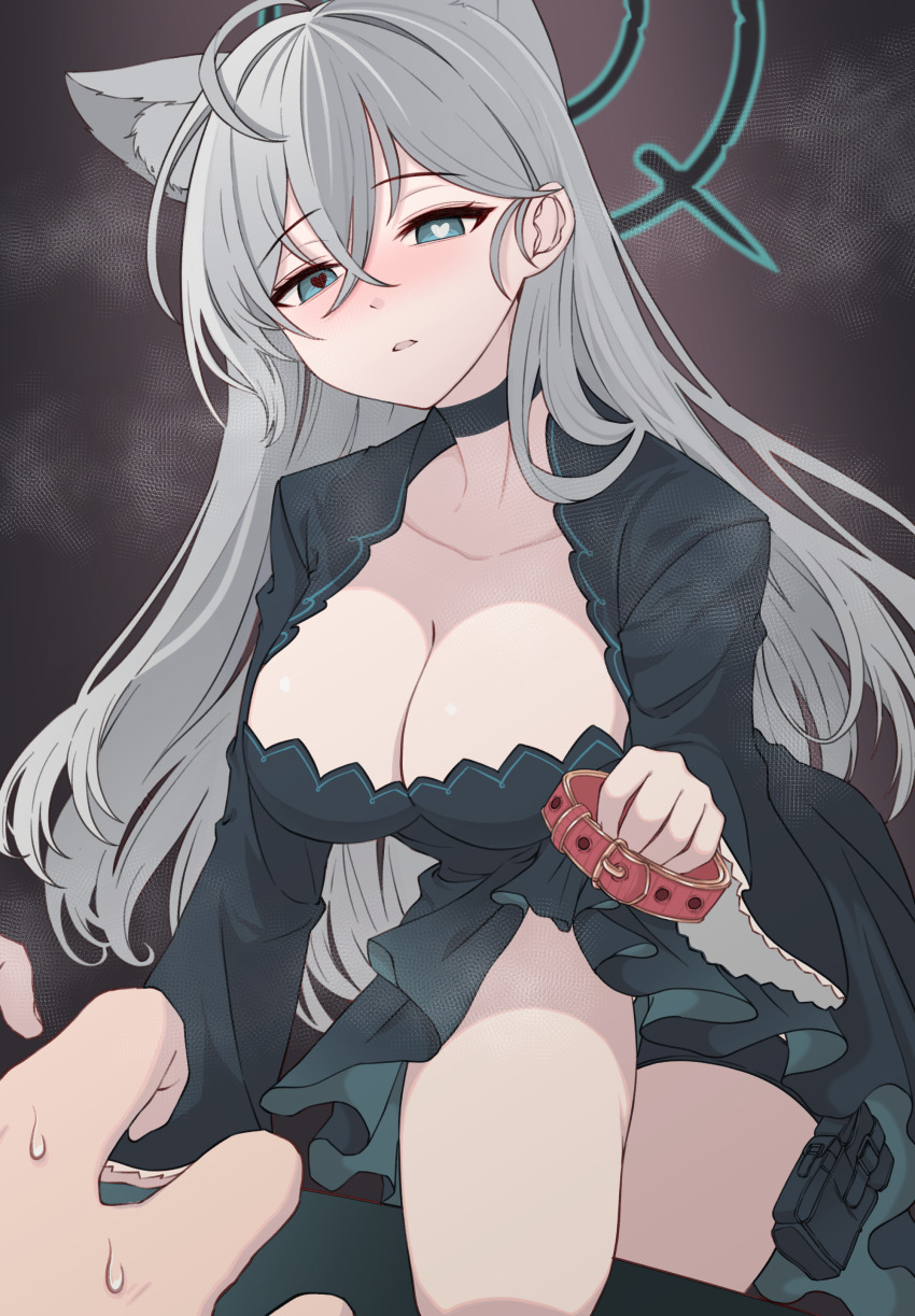 1girl, absurdres, anavi, animal_ears, black_choker, black_dress, blue_archive, blue_eyes, blush, breasts, choker, cleavage, collar, collarbone, commentary_request, crossed_bangs, dress, gluteal_fold, grey_hair, hair_between_eyes, halo, heart, heart-shaped_pupils, highres, holding, holding_collar, large_breasts, long_hair, looking_at_viewer, mismatched_pupils, nervous_sweating, nose_blush, parted_lips, pouch, pov, pov_hands, red_collar, shiroko_terror_(blue_archive), solo, sweat, symbol-shaped_pupils, thigh_gap, thigh_pouch, thigh_strap, very_long_hair, wolf_ears, wolf_girl