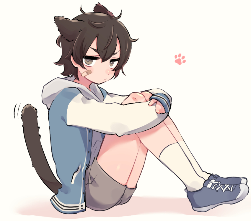 1boy, aged_down, animal_ears, arm_support, bandaid, bandaid_on_face, brown_eyes, brown_hair, cat_boy, cat_ears, cat_tail, child, eiden_(nu_carnival), fetal_position, full_body, hugging_own_legs, jacket, looking_at_viewer, male_focus, niwa_(niwa827), nu_carnival, paw_print, pout, shorts, socks, tail, tail_raised