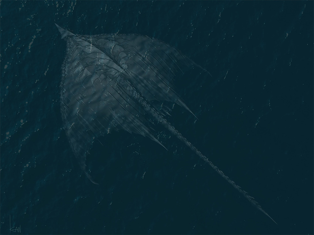 beak, concept_art, day, engi_(animation_studio), fins, from_above, full_body, gamera_(series)