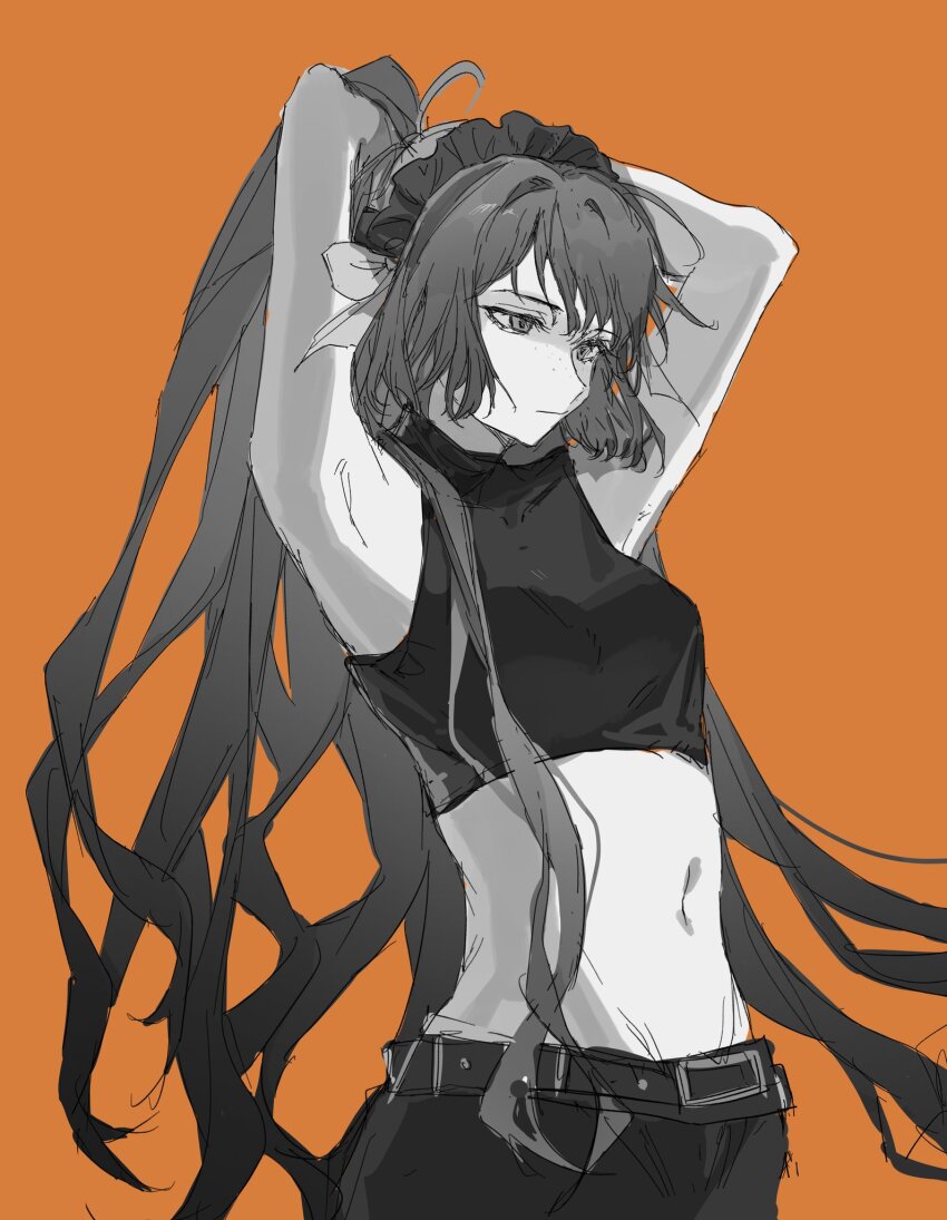 1girl, ahoge, arms_up, belt, bow, closed_mouth, crop_top, greyscale, greyscale_with_colored_background, hair_bow, hairband, high_ponytail, highres, ishmael_(project_moon), limbus_company, long_hair, monochrome, navel, orange_background, pants, ponytail, project_moon, shirt, simple_background, sleeveless, sleeveless_shirt, solo, sona_(lnjixn), very_long_hair