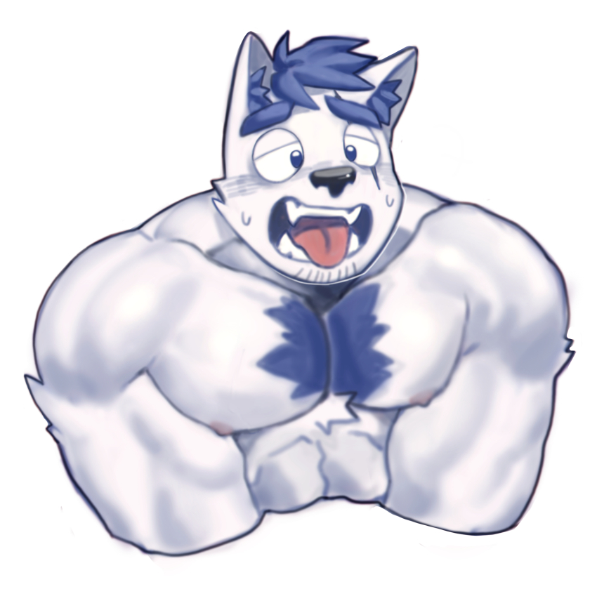 1boy, absurdres, animal_ear_fluff, animal_ears, bara, blue_doggo_(ttn), blue_fur, blue_hair, chest_tuft, cropped_shirt, dog_boy, dog_ears, facial_hair, furry, furry_male, goatee_stubble, half-closed_eyes, highres, huge_eyebrows, large_pectorals, male_focus, muscular, muscular_male, open_mouth, original, pectoral_squeeze, pectorals, short_hair, solo, stubble, sweat, thick_eyebrows, tongue, tongue_out, ttn_(239_239), two-tone_fur, v_arms, white_fur