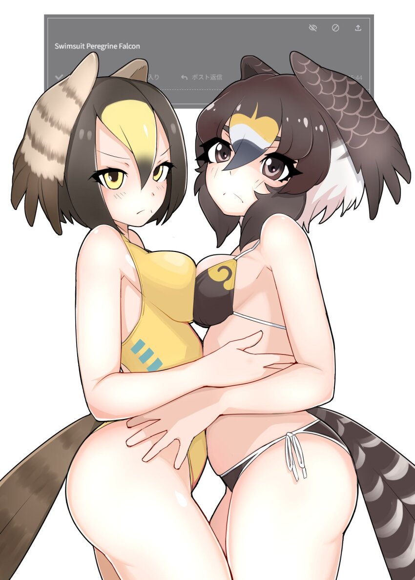 >:(, 2girls, belly-to-belly, bikini, bird_girl, bird_tail, bird_wings, black_hair, blonde_hair, breast_press, breasts, brown_eyes, brown_hair, closed_mouth, cowboy_shot, from_side, frown, hair_between_eyes, head_wings, highres, illu_(illu_stratos), kemono_friends, looking_at_viewer, medium_breasts, medium_hair, multicolored_hair, multiple_girls, one-piece_swimsuit, parted_bangs, peregrine_falcon_(kemono_friends), peregrine_falcon_(old_design)_(kemono_friends), short_hair, side-tie_bikini_bottom, stomach, swimsuit, symmetrical_docking, tail, v-shaped_eyebrows, white_hair, wings, yellow_eyes