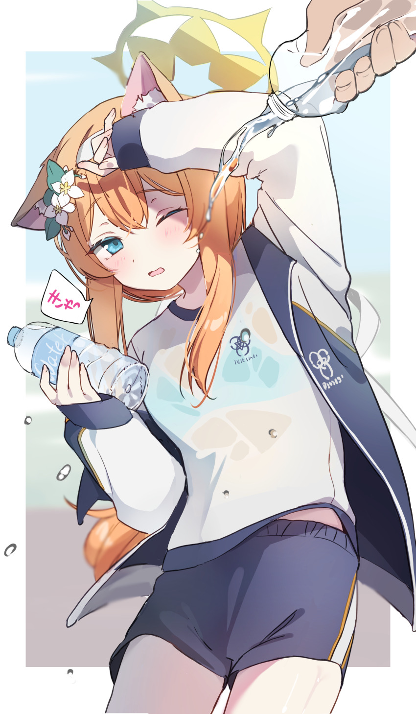 1boy, 1girl, absurdres, animal_ear_fluff, animal_ears, black_shorts, blue_archive, blue_bra