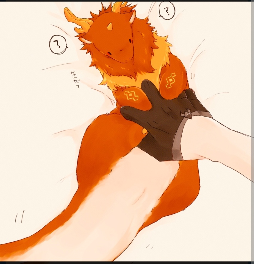 chibi, dragon, dragon_horns, dragon_tail, eastern_dragon, genshin_impact, hand_on_another's_stomach, horns