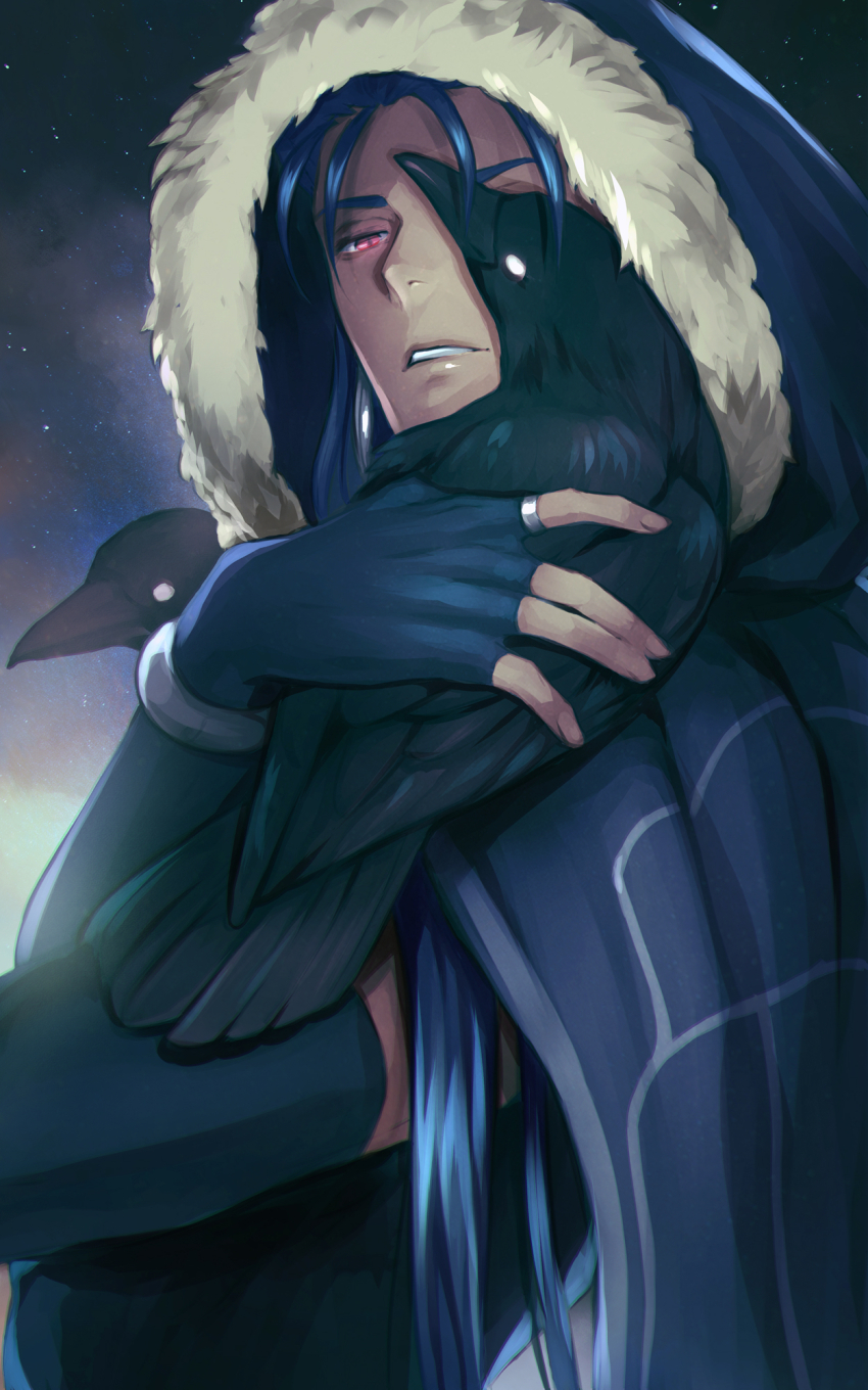 1boy, animal, bird, black_bird, blue_cloak, blue_hair, cloak, commentary, crow, cu_chulainn_(caster)_(fate), cu_chulainn_(fate), english_commentary, fate/grand_order, fate_(series), fingerless_gloves, fur_trim, gloves, gravesecrets, highres, holding, holding_animal, holding_bird, hood, hood_up, hooded_cloak, jewelry, long_hair, male_focus, mature_male, one_eye_covered, parted_lips, red_eyes, ring, sky, solo, star_(sky), starry_sky