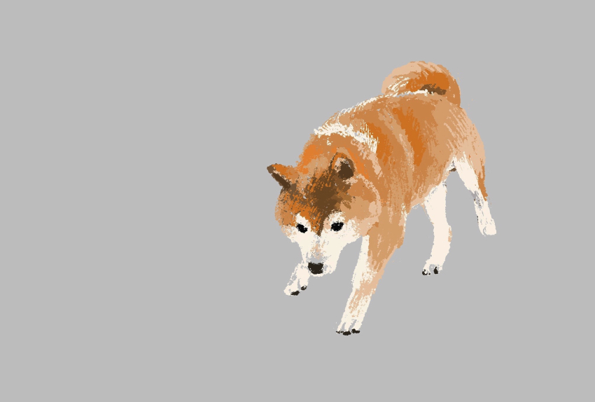 animal, animal_ears, animal_focus, dog, dog_ears, dog_tail, grey_background, highres, no_humans, onobane, onobane_(mogyugyu88), original, shiba_inu, simple_background, tail