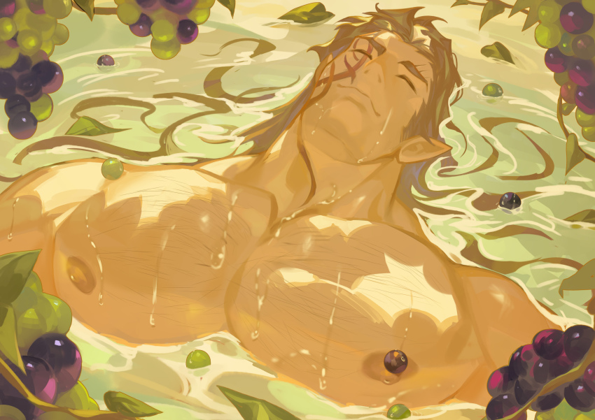1boy, absurdres, afloat, baldur's_gate, baldur's_gate_3, bara, braid, brown_hair, chest_hair, dark-skinned_male, dark_skin, elf, facial_mark, food, fruit, grapes, halsin, happy, highres, large_pectorals, le_zhang_zhang, lying, male_focus, mature_male, medium_hair, muscular, muscular_male, nipples, on_back, partially_submerged, pectoral_focus, pectorals, pointy_ears, smile, solo, tattoo, thick_eyebrows, wet