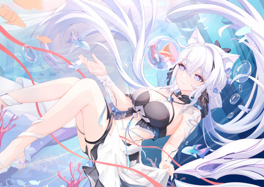 +_+, 1girl, absurdres, animal_ear_fluff, animal_ears, bikini, black_bikini, blackheart`