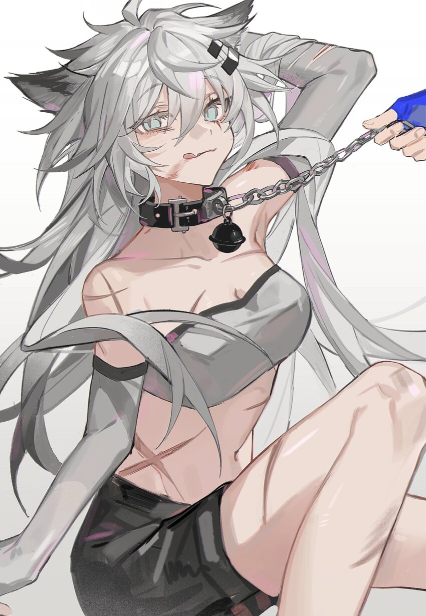 2girls, :p, absurdres, animal_ears, arknights, black_shorts, blood, blue_eyes, chain, chain_leash, collar, cross_scar, elbow_gloves, gloves, gradient_background, grey_hair, hair_between_eyes, hair_ornament, hairclip, highres, lappland_(arknights), leash, long_hair, messy_hair, multiple_girls, pinenut_sn, scar, scar_across_eye, scar_on_face, shorts, solo_focus, strapless, texas_(arknights), texas_the_omertosa_(arknights), tongue, tongue_out, tube_top