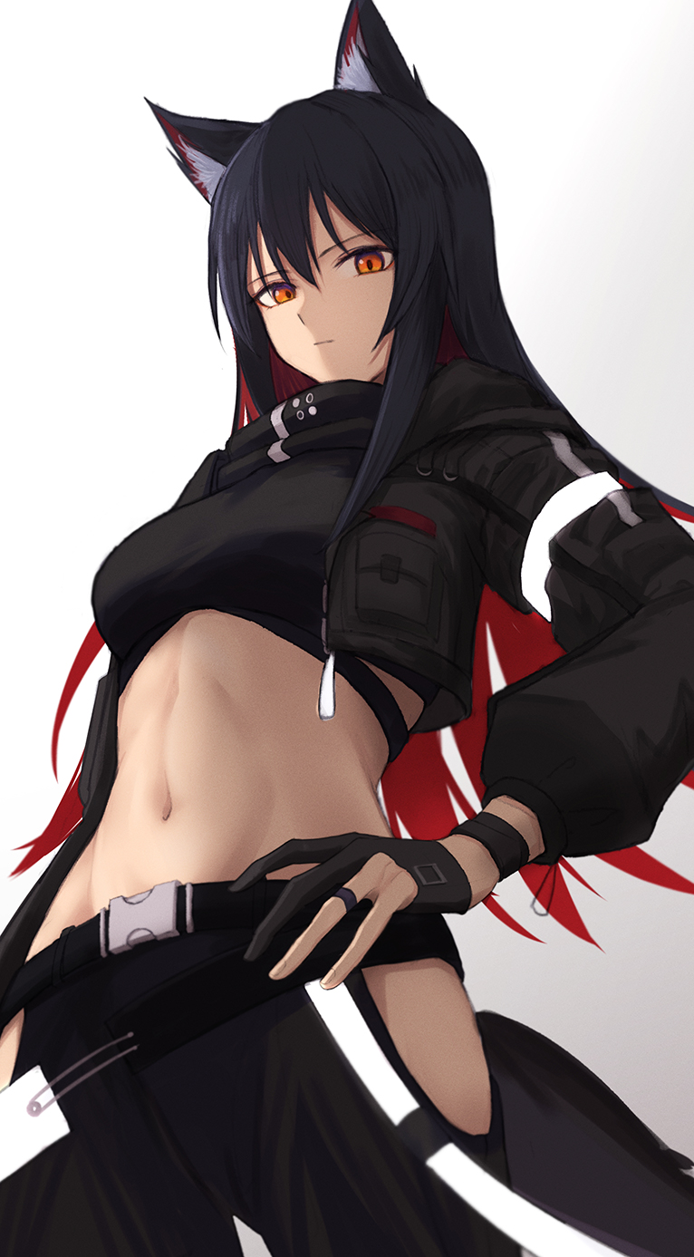 1girl, animal_ear_fluff, animal_ears, arknights, black_hair, black_pants, breasts, crop_top