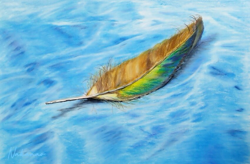 artist_name, blue_background, colored_pencil_(medium), feathers, nakanaori31, no_humans, original, realistic
