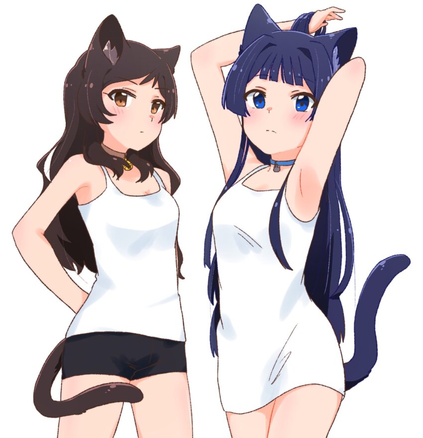 2girls, animal_ears, armpits, arms_behind_back, arms_behind_head, bell, black_shorts, blue_collar, blue_eyes, breasts, brown_collar, brown_eyes, brown_hair, cat_ears, cat_girl, cat_tail, collar, commentary, cowboy_shot, dress, expressionless, highres, hutaba, idolmaster, idolmaster_million_live!, jingle_bell, kitazawa_shiho, light_blush, long_hair, looking_at_viewer, medium_breasts, mogami_shizuka, multiple_girls, shirt, short_shorts, shorts, sidelocks, sleeveless, sleeveless_dress, small_breasts, tail, tank_top, thighs, white_background, white_dress, white_shirt