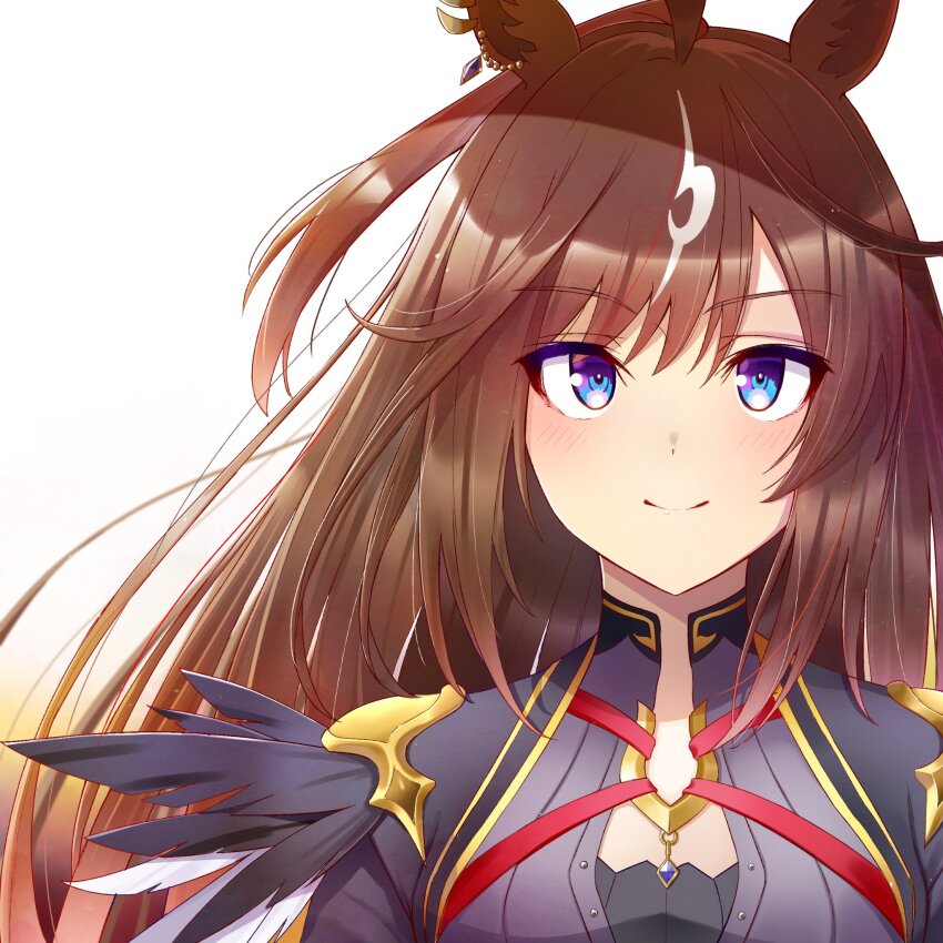 1girl, abish, ahoge, animal_ears, blue_eyes, blush, brown_hair, duramente_(red_in_black)_(umamusume)