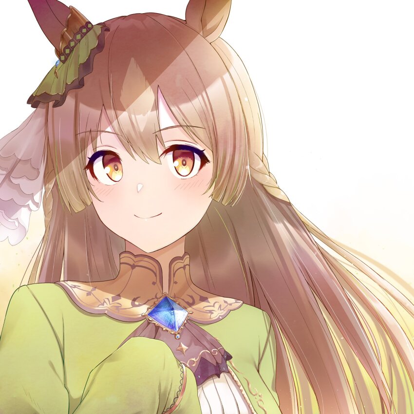 1girl, abish, animal_ears, blush, braid, brown_eyes, brown_hair, close-up