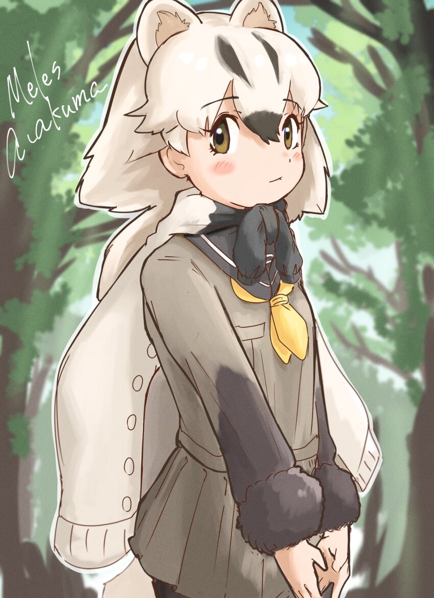 absurdres, badger_ears, badger_girl, badger_tail, black_fur, black_hair, black_pantyhose, black_sleeves