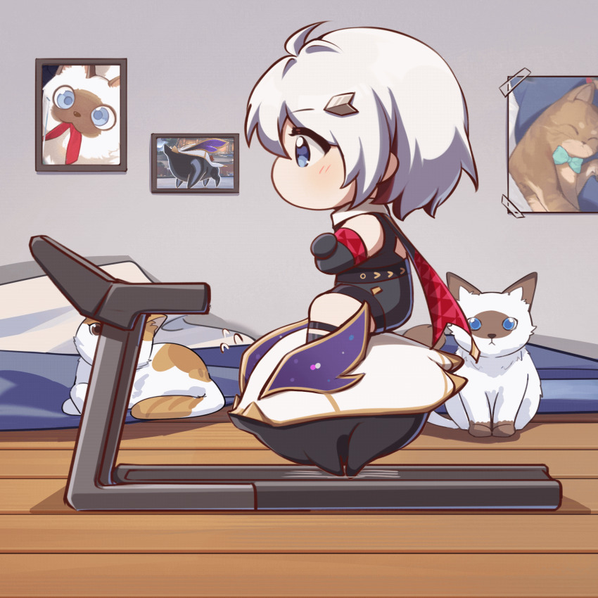 1girl, 1other, animated, animated_gif, blue_eyes, cat, chibi, chinese_commentary
