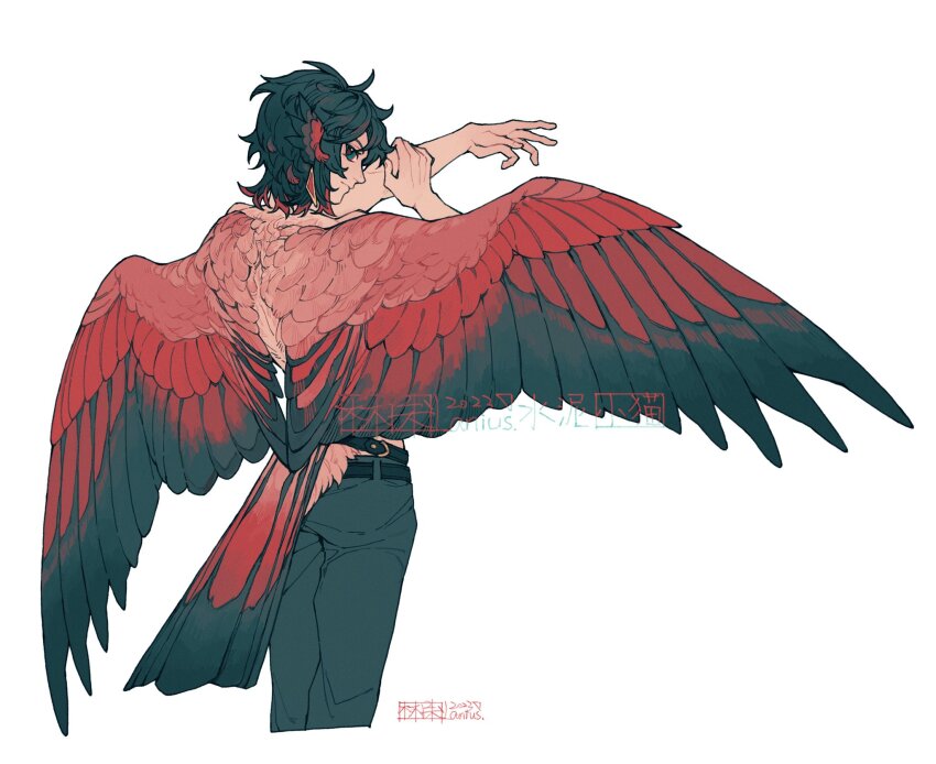 1boy, artist_name, bird_boy, bird_tail, bird_wings, black_hair, closed_mouth, colored_tips, cowboy_shot, ear_piercing, feathered_wings, green_eyes, hands_up, head_wings, highres, looking_at_viewer, looking_back, male_focus, multicolored_hair, original, piercing, red_hair, red_wings, short_hair, shuini_xiaomao, simple_background, solo, standing, tail, white_background, wings