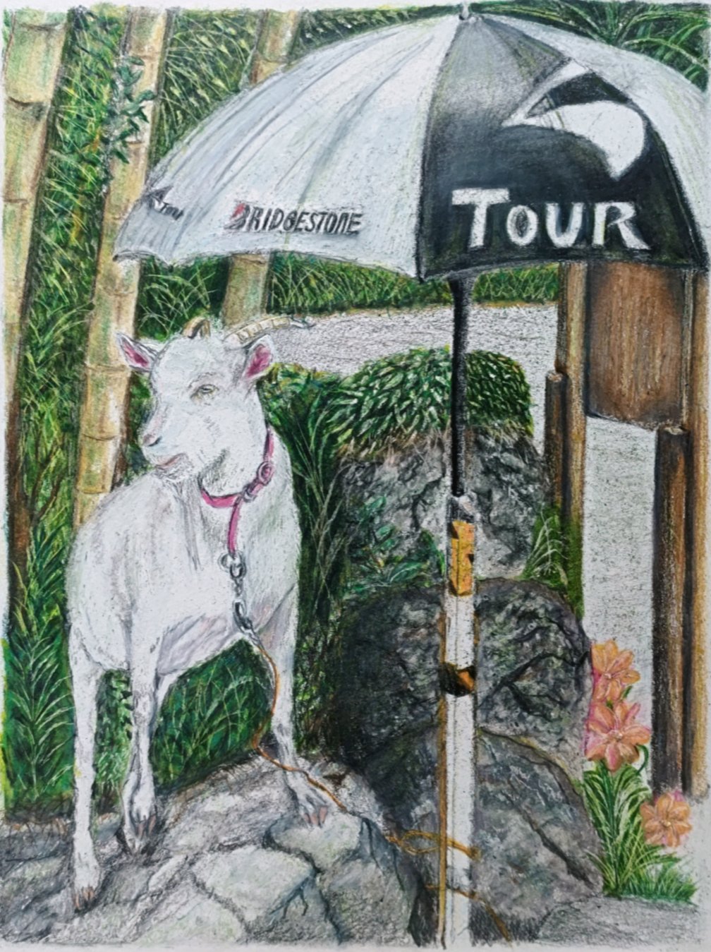 animal, bamboo, colored_pencil_(medium), english_text, goat, grass, highres, leash