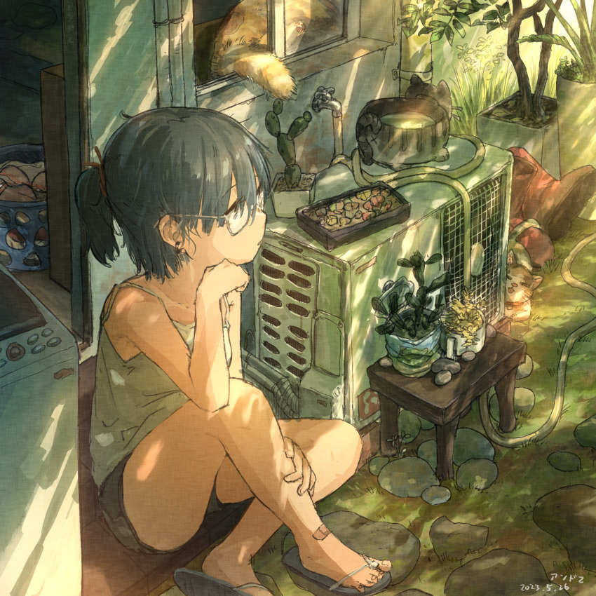 1girl, air_conditioner, arm_support, bandaid, bandaid_on_leg, blue_shorts, cat, dappled_sunlight