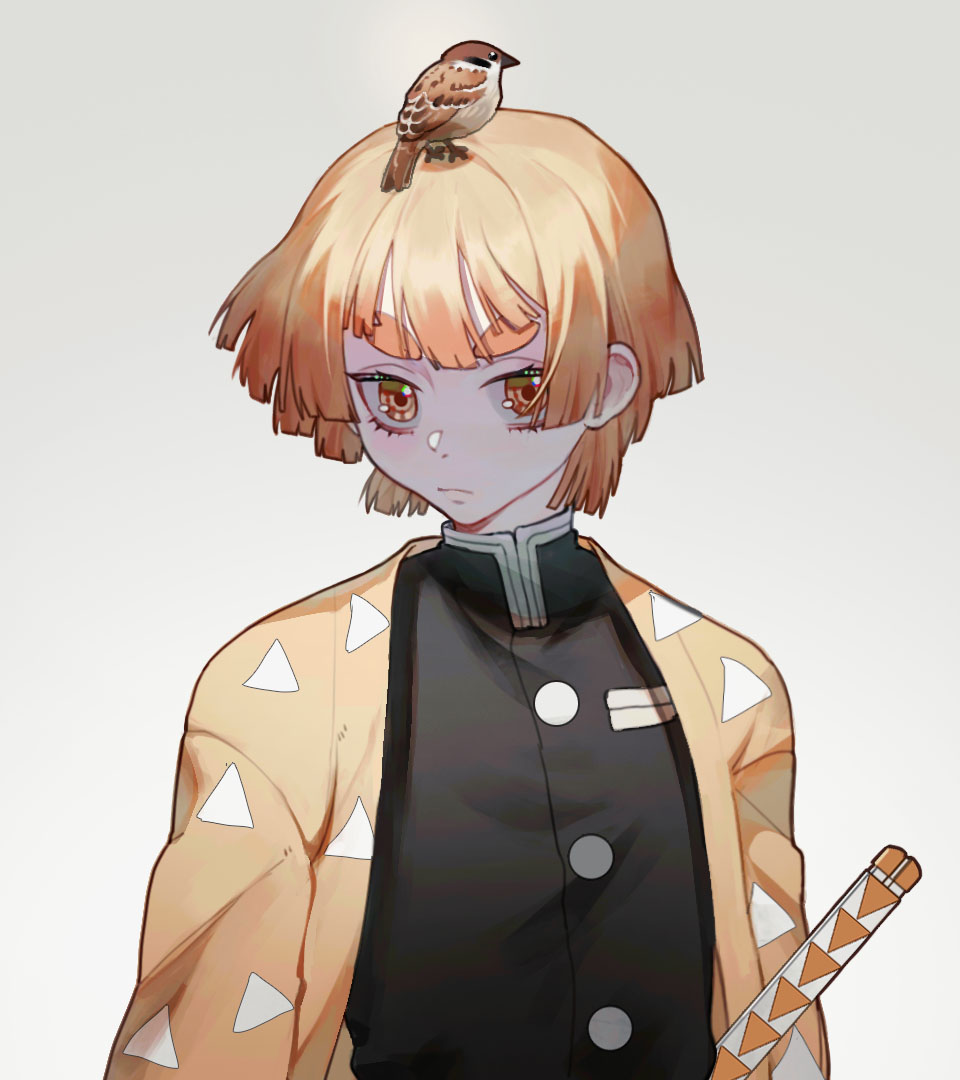 1boy, agatsuma_zenitsu, animal, animal_on_head, bird, bird_on_head, black_shirt, blunt_bangs