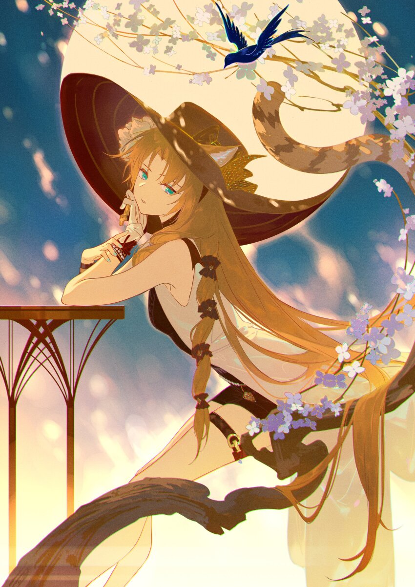 1girl, absurdres, animal_ears, arknights, bare_shoulders, bird, black_dress, black_hat, blue_bird, breasts, brown_hair, dress, ears_through_headwear, flower, full_moon, green_eyes, hair_ornament, hat, head_rest, highres, long_hair, looking_at_viewer, lubusi, moon, night, official_alternate_costume, outdoors, parted_lips, purple_flower, sitting, small_breasts, solo, swire_(arknights), swire_the_elegant_wit_(arknights), table, tail, thigh_strap, tiger_ears, tiger_girl, tiger_tail, very_long_hair, white_flower