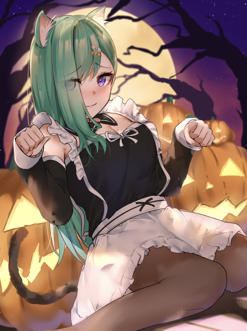 1girl, absurdres, animal_ears, asymmetrical_bangs, blush, breasts, cat_ears, cat_tail, cleavage, closed_mouth, commentary, detached_collar, dress, frilled_dress, frills, full_moon, green_hair, hair_ornament, hair_over_one_eye, halloween, highres, long_hair, long_sleeves, looking_at_viewer, medium_breasts, mole, mole_on_breast, moon, night, pantyhose, paw_pose, pumpkin, purple_eyes, raised_eyebrows, ringozeri, sitting, sky, smile, solo, star_(sky), starry_sky, tail, virtual_youtuber, vspo!, wariza, yakumo_beni