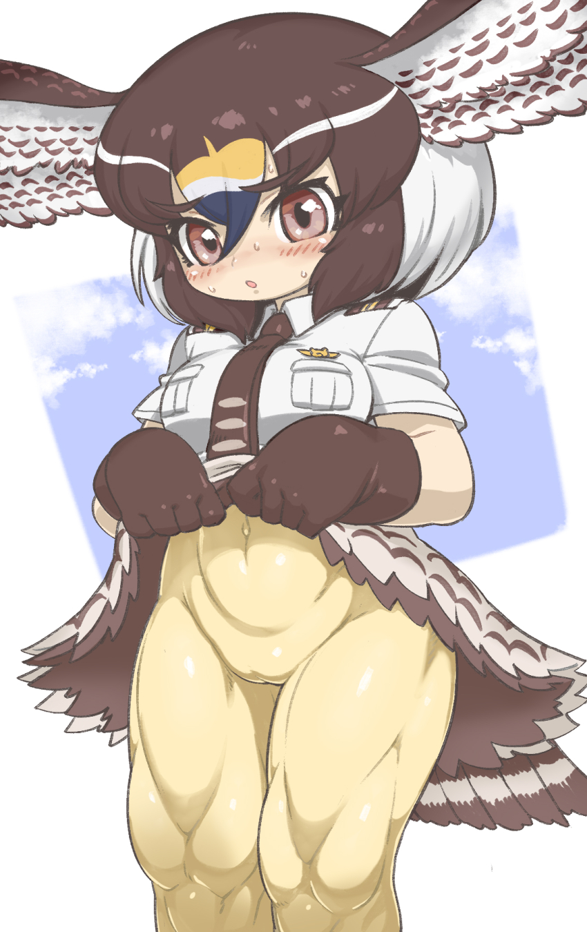 1girl, animal_ears, bird_ears, bird_tail, bird_wings, blush, brown_eyes, brown_hair