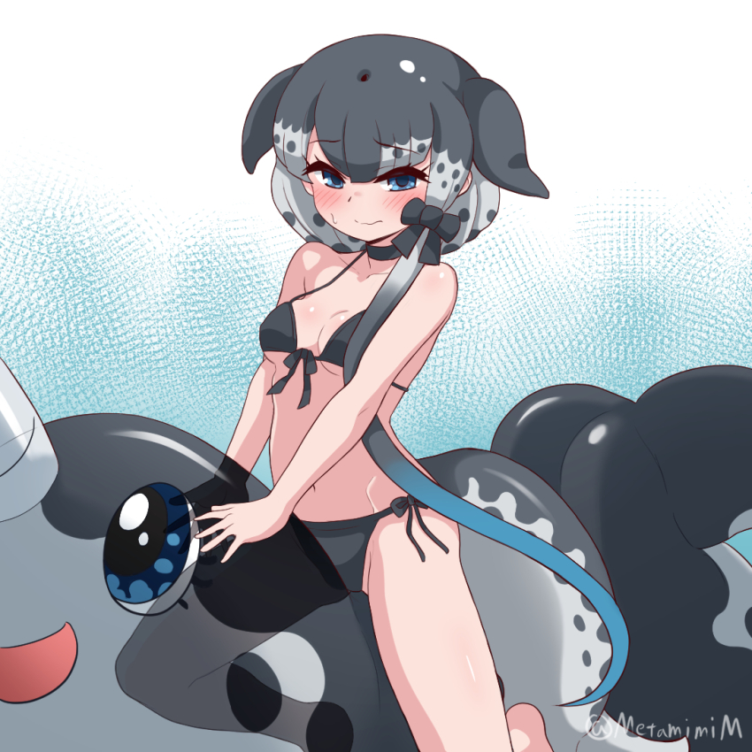 1girl, animal_ears, bikini, black_bikini, blowhole, blue_eyes, blush, bow, breasts, cetacean_tail, fins, fish_tail, grey_hair, hair_bow, inflatable_toy, inflatable_whale, kemono_friends, kemono_friends_3, looking_at_viewer, medium_breasts, metamimi, multicolored_hair, narwhal_(kemono_friends), short_hair, side-tie_bikini_bottom, solo, straddling, stuffed_narwhal, swimsuit, tail