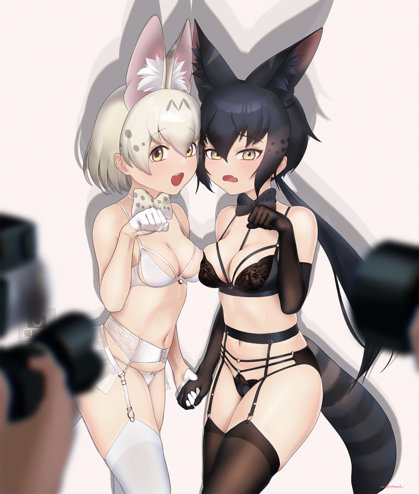 2girls, animal_ears, bare_shoulders, beleven, black_hair, black_serval_(kemono_friends), bow, bowtie, bra, camera, cat_ears, cat_girl, cat_tail, elbow_gloves, extra_ears, garter_belt, garter_straps, gloves, grey_background, highres, kemono_friends, kemono_friends_3, kneehighs, long_hair, multiple_girls, navel, panties, short_hair, simple_background, socks, tail, underwear, white_hair, white_serval_(kemono_friends), yellow_eyes