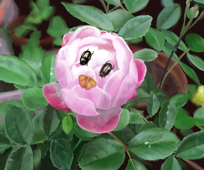 bad_id, bad_pixiv_id, beetle, bug, butterfly, dirt, flower, kirby