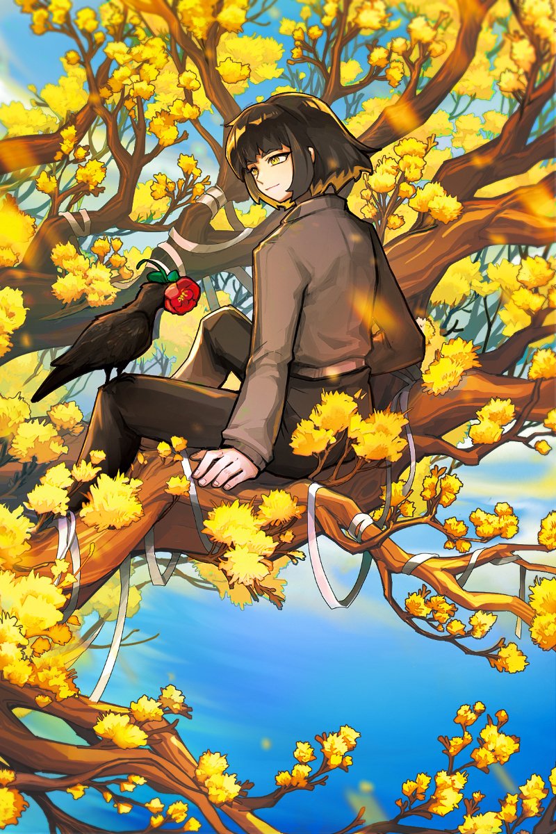 1girl, animal, bandages, belt, bird, bird_on_knee, black_feathers, black_hair