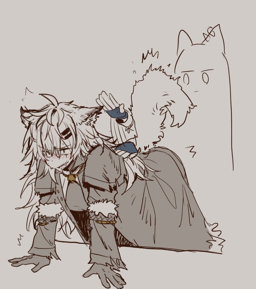 2girls, animal_ear_fluff, animal_ears, arknights, blush, coat, drooling, fingerless_gloves, fur-trimmed_coat, fur_trim, gloves, hands_on_ground, highres, implied_yuri, lappland_(arknights), lappland_(refined_horrormare)_(arknights), long_hair, long_sleeves, mouth_drool, multiple_girls, mutomorokoshi, open_clothes, open_coat, open_mouth, partially_colored, patting, scar, scar_across_eye, scar_on_face, sharp_teeth, simple_background, solo_focus, tail, tail_wagging, teeth, texas_(arknights), touching_tail, white_hair, wolf_ears, wolf_girl, wolf_tail